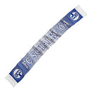 FC Schalke 04 Fan Schal Punkte, Weiß Blau, L